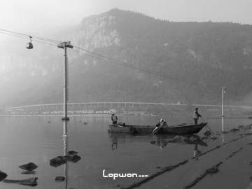 给滇池除藻，欲改善水质