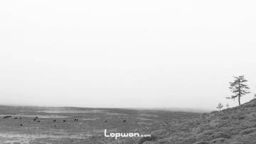 起风了，起雾了