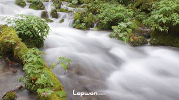 秘境尼汝的雨季，一步一风景