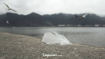 不是所有的奉献都值得喝彩