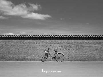 那张单车，修修补补，骑了又骑