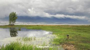 洱海东岸，经过的风景