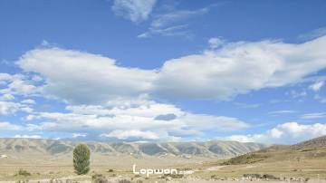 要不要搭车，是件很纠结的事情