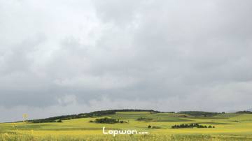 途经风景：丽江太安乡油菜花开