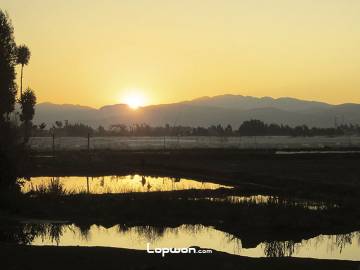 你认为这是日出？还是日落？