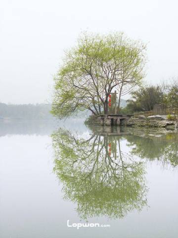 成都，一个来了就不想走的城市