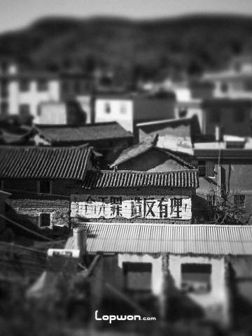 那个年代，革命无罪，造反有理