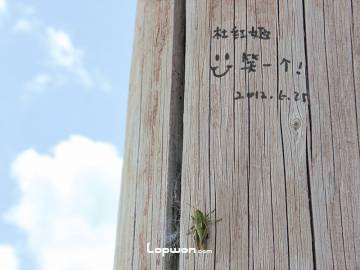 香格里拉：杜红姬，笑一个！