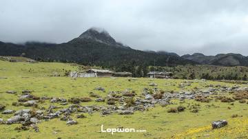 香格里拉南宝牧场：险遇野狗！