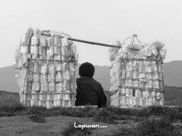 我们都在为生存活着