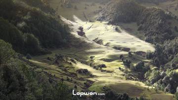 该在这里等待深秋，叶子变黄时