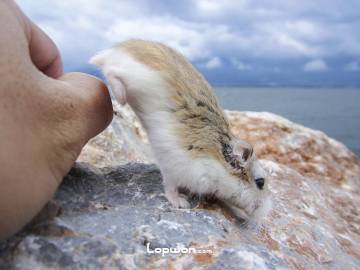 公公伴我去旅行