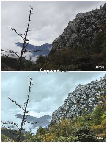 自拍短片预告中：The Way！