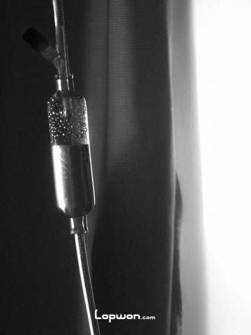 最后的日子？！