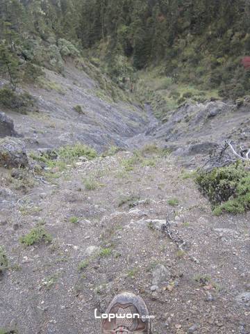 这一路上幸运地没有碰上黑熊