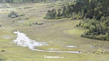 没能等到香格里拉尼汝的深秋