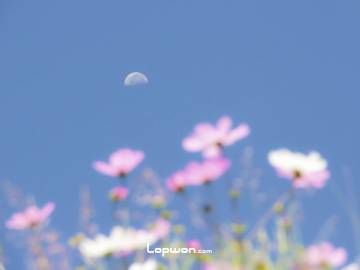 这里，即将进入“霉变”的状态