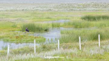 香格里拉西郊草甸，水潭垂钓