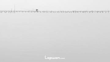 又见海上梅花桩