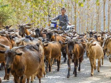 骑行中遭遇路霸