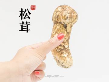 收到松茸了哦