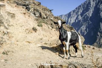 出发！圆个五年前的心愿