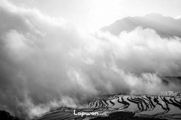 过年不回家，寻景在元阳