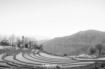 过年不回家，寻景在元阳