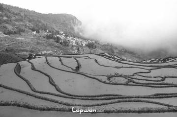 过年不回家,寻景在元阳