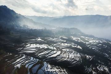 过年不回家，寻景在元阳