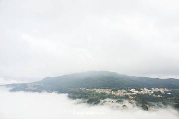 过年不回家，寻景在元阳