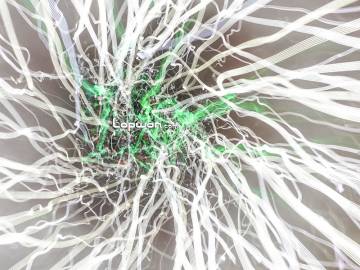 世界越快，心，则慢