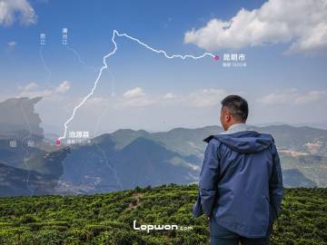 视频：三人行，中缅边境寻茶记