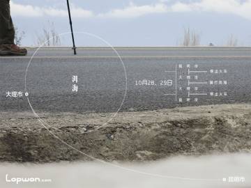 去大理，租辆单车骑洱海