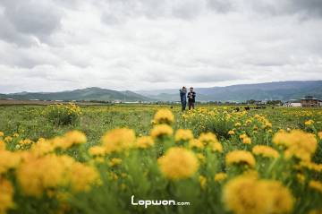 视频：找到松茸了哦