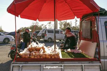 有声：正宗褚橙，十块一大袋