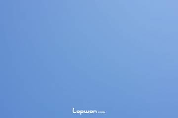 办公室烤焗鸡肉松茸