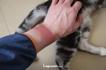 视频：东川，好似曾相识