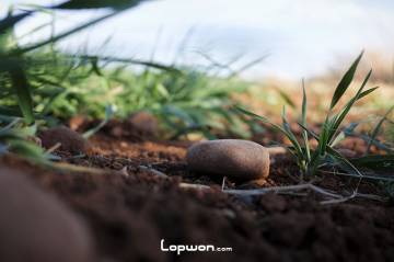 视频：东川，好似曾相识