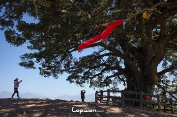 视频：东川，好似曾相识