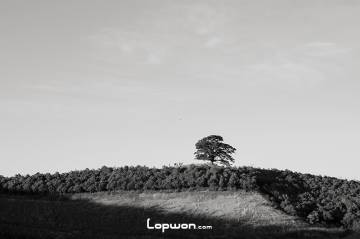 视频：东川，好似曾相识