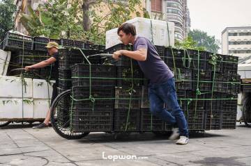 昆明至河口，火车吃旅