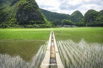 万峰林，家乡的感觉