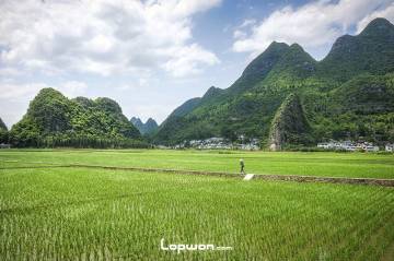 万峰林,家乡的感觉