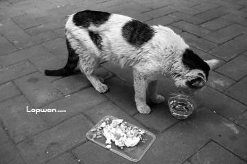 二手甩起来，让你的闲置游起来