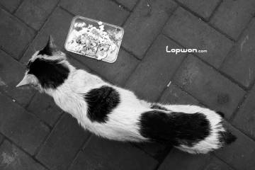 二手甩起来，让你的闲置游起来