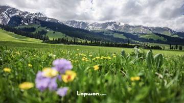 视频：万里赴疆踩线路