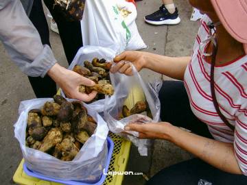 2021年07月08日，云南省昆明市，买卖野生菌的人们。by Lopwon