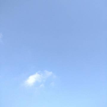 2021-11-30 忠县 / 晴