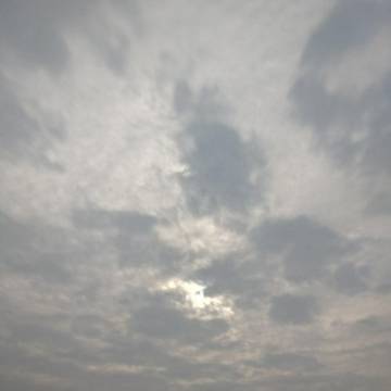 2021-11-16 宜宾 / 云